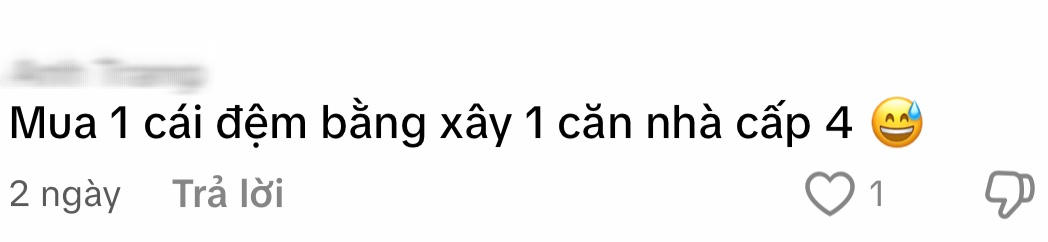 Dân mạng cãi nhau vì MC VTV mua đệm ngủ 213 triệu: Người khen chịu chi, người chê hoang phí - khoe của- Ảnh 4.