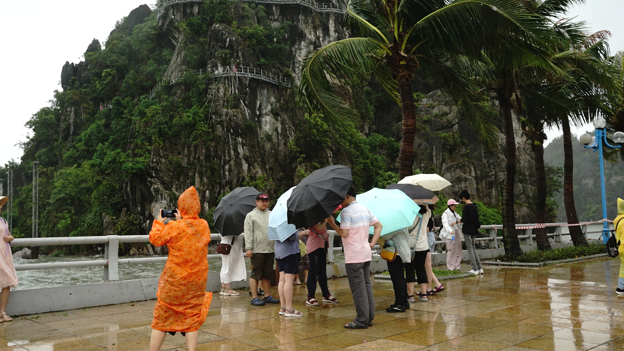 Nhiều du khách ở Quảng Ninh bất chấp gió mạnh, bung ô ra đường ven biển check-in thời điểm bão đổ bộ đất liền- Ảnh 9.