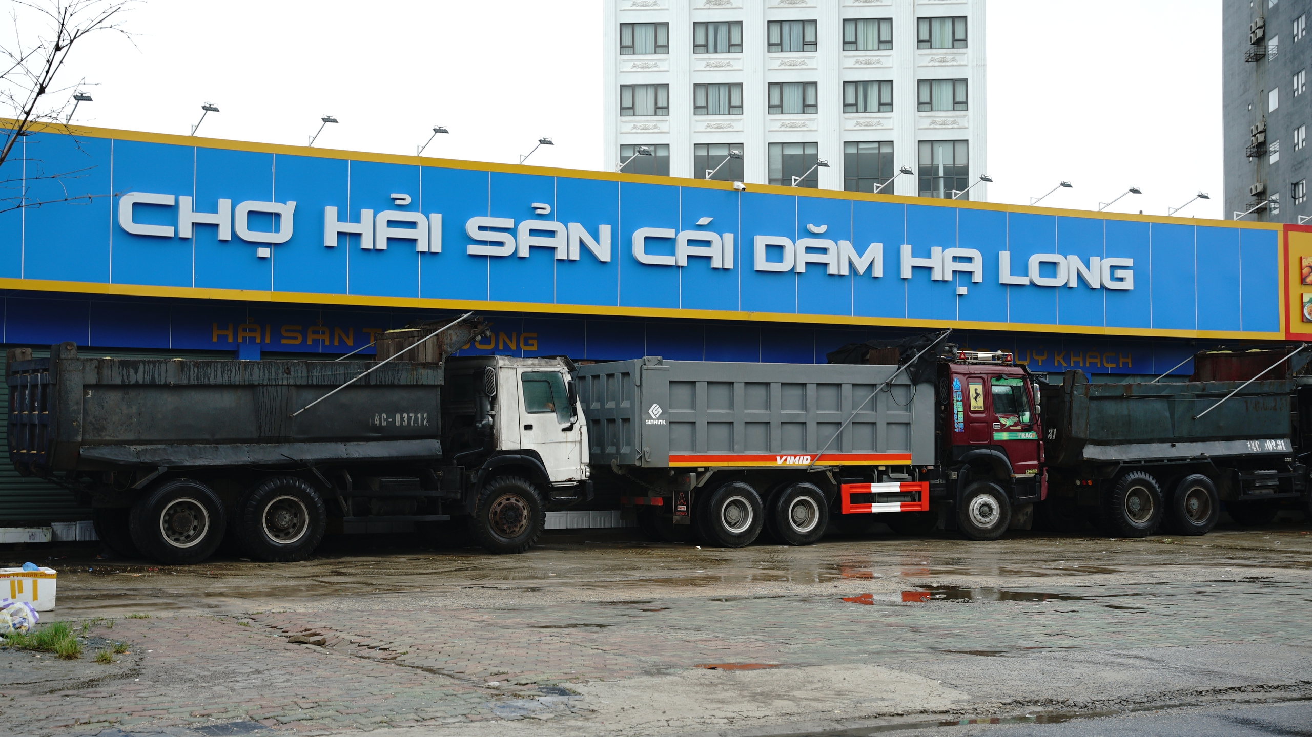 Trước giờ bão đổ bộ: Đường phố Quảng Ninh không một bóng người, gió mạnh hất văng bốt bảo vệ ra xa 6 mét- Ảnh 9.