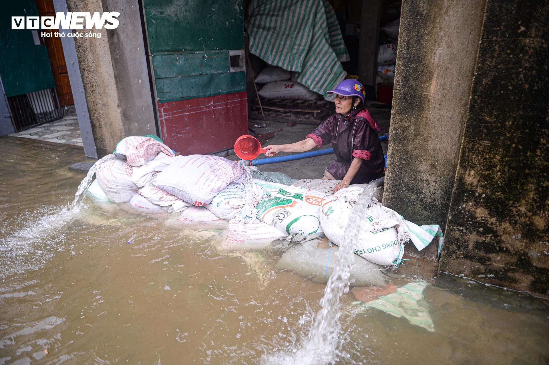 Nước dâng cao gần 1m, người Thanh Hoá vội vã sơ tán đồ đạc, đưa lợn đi tránh lũ- Ảnh 13.