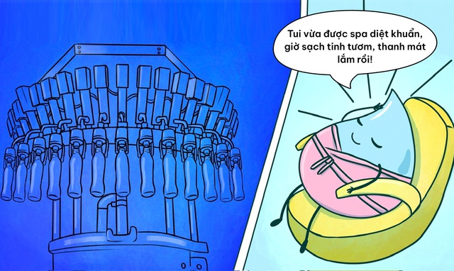 Quy trình lọc 7 bước tạo nên dòng nước tinh khiết từ núi lửa triệu năm- Ảnh 5.