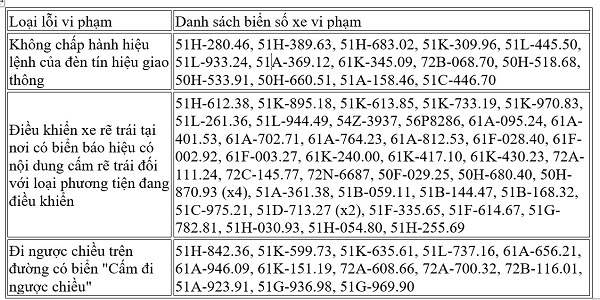 Danh sách xe biển số TP.HCM bị phạt nguội tại các tỉnh lân cận- Ảnh 1.
