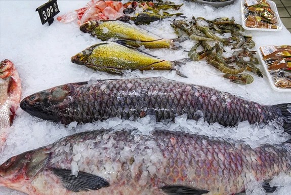 Hôm nay tôi được khai sáng cách rã đông CÁ mà KHÔNG cần ngâm nước lã- Ảnh 1.
