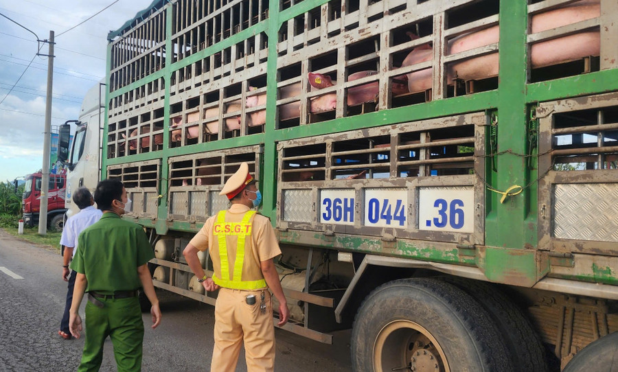 Phát hiện điều bất thường trên chiếc xe tải di chuyển qua xã Tuy Phước lúc rạng sáng- Ảnh 1.