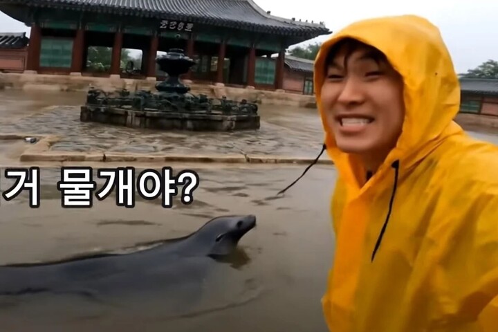 Video AI giả cảnh lũ lụt tại cung điện gây lo ngại về deepfake ở Hàn Quốc- Ảnh 1.