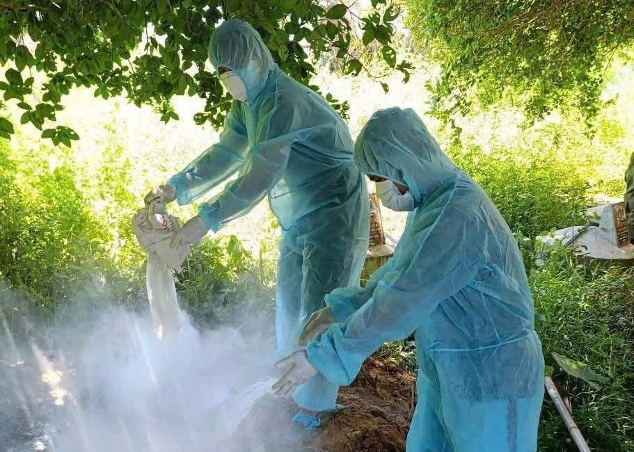 Thịt lợn ế chưa từng có- Ảnh 9.