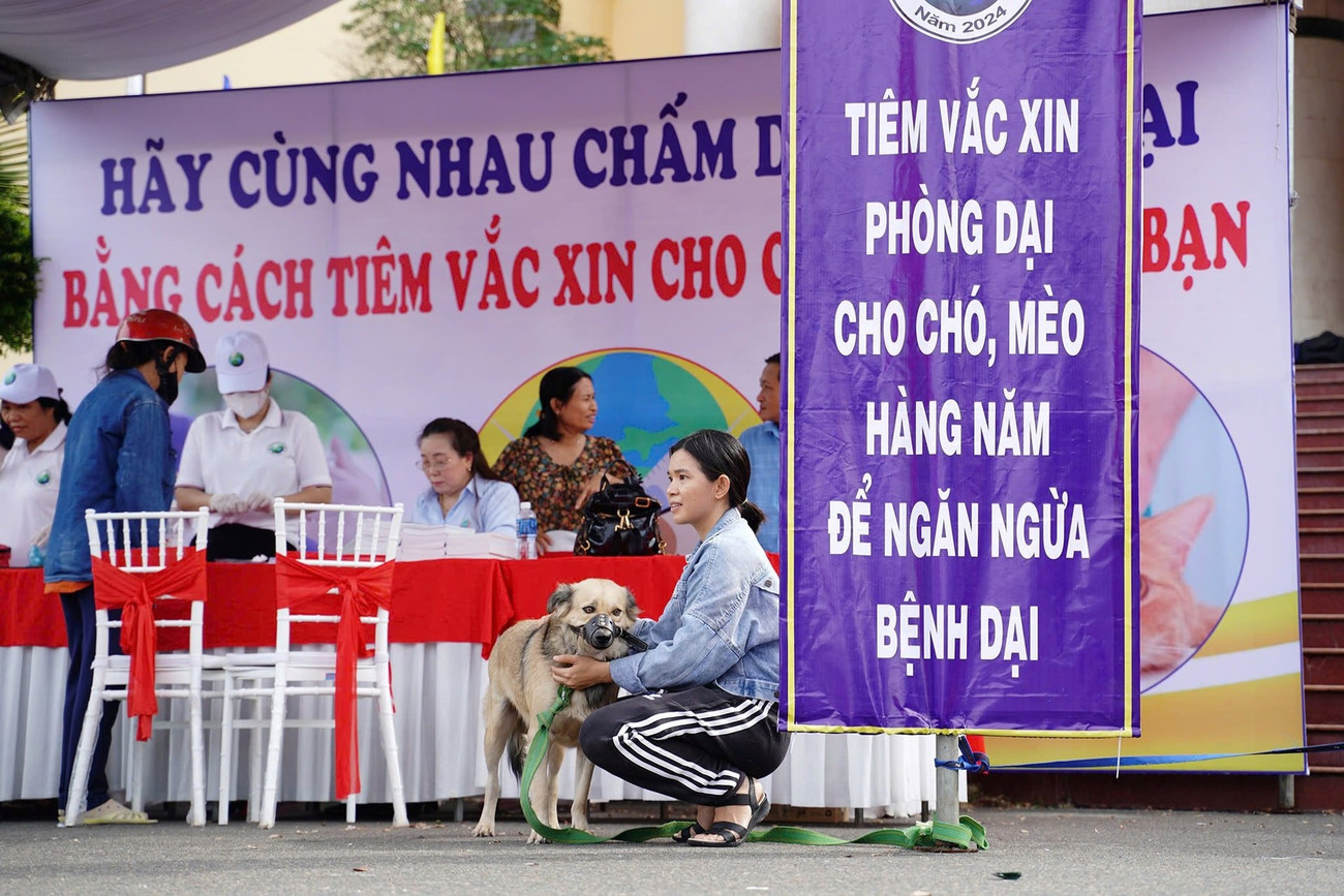 Tưởng mèo cào là chuyện nhỏ, bé trai tử vong vì bệnh dại- Ảnh 1.