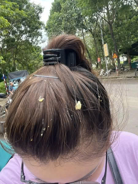Pha đi chợ nhớ đời ở chung cư: Chưa kịp mua gì đã được 