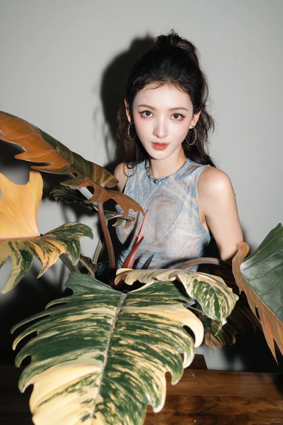Trương Dư Hi mới khoe chậu cây mới vào bộ sưu tập của mình, hóa ra đây là loại cây được nhiều nhà giàu ưa thích- Ảnh 3.