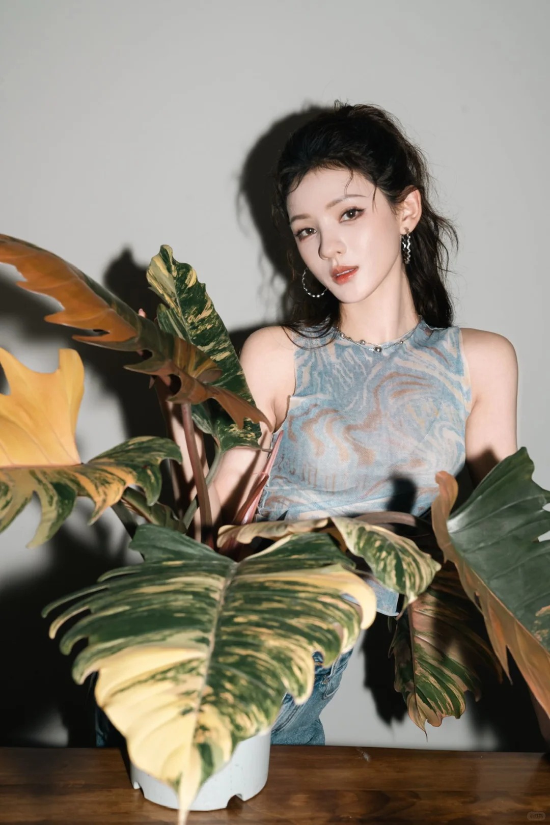 Trương Dư Hi mới khoe chậu cây mới vào bộ sưu tập của mình, hóa ra đây là loại cây được nhiều nhà giàu ưa thích- Ảnh 7.