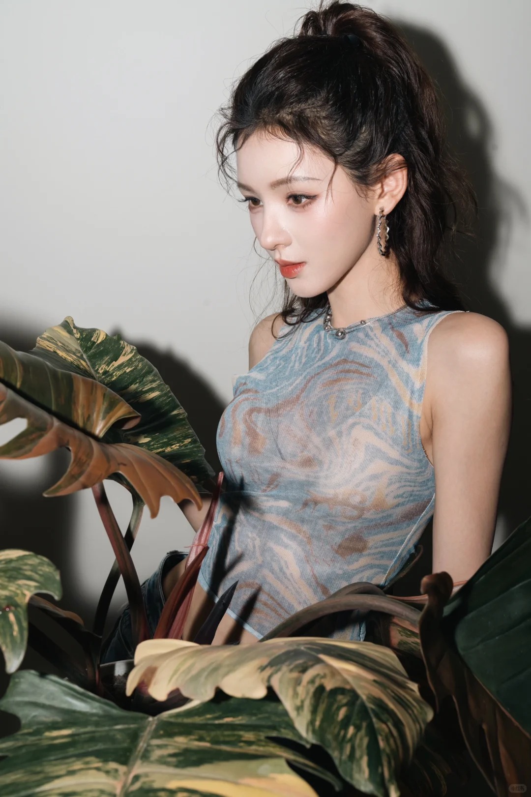 Trương Dư Hi mới khoe chậu cây mới vào bộ sưu tập của mình, hóa ra đây là loại cây được nhiều nhà giàu ưa thích- Ảnh 6.