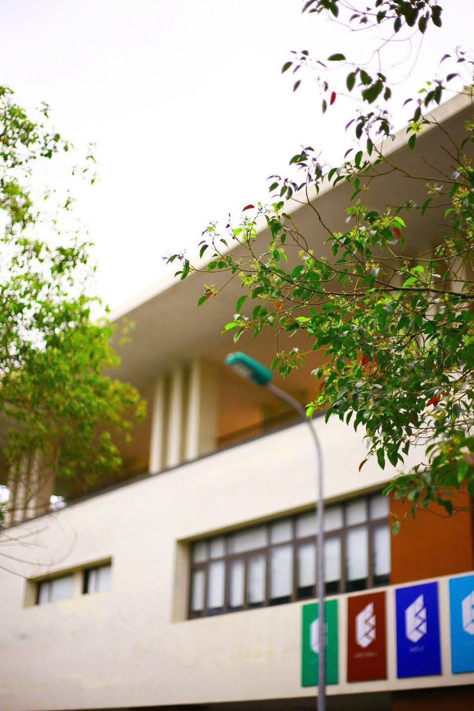 Ngôi trường "đỉnh" nhất lúc này: 3 năm liền có học sinh đạt HCV Olympic Quốc tế, gần như năm nào cũng có Thủ khoa, Á khoa thi ĐH- Ảnh 15. Ngôi trường "đỉnh" nhất lúc này: 3 năm liền có học sinh đạt HCV Olympic Quốc tế, gần như năm nào cũng có Thủ khoa, Á khoa thi ĐH- Ảnh 15.