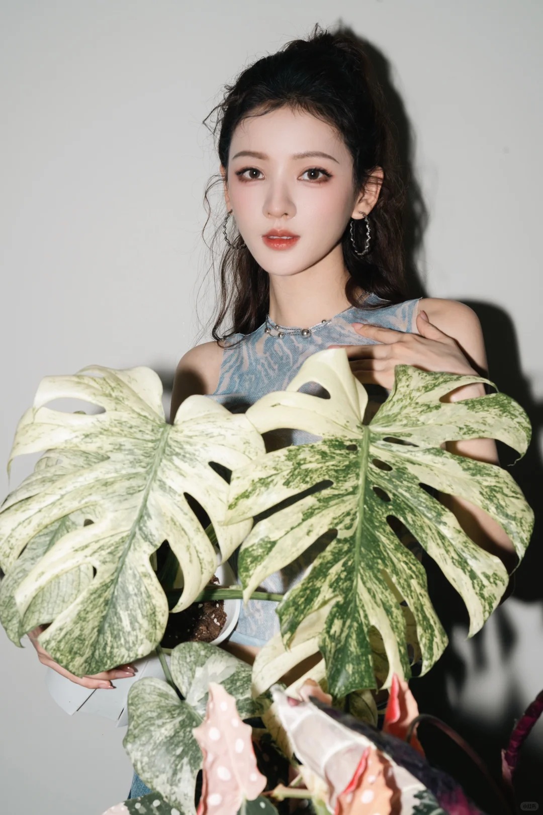 Trương Dư Hi mới khoe chậu cây mới vào bộ sưu tập của mình, hóa ra đây là loại cây được nhiều nhà giàu ưa thích- Ảnh 5.