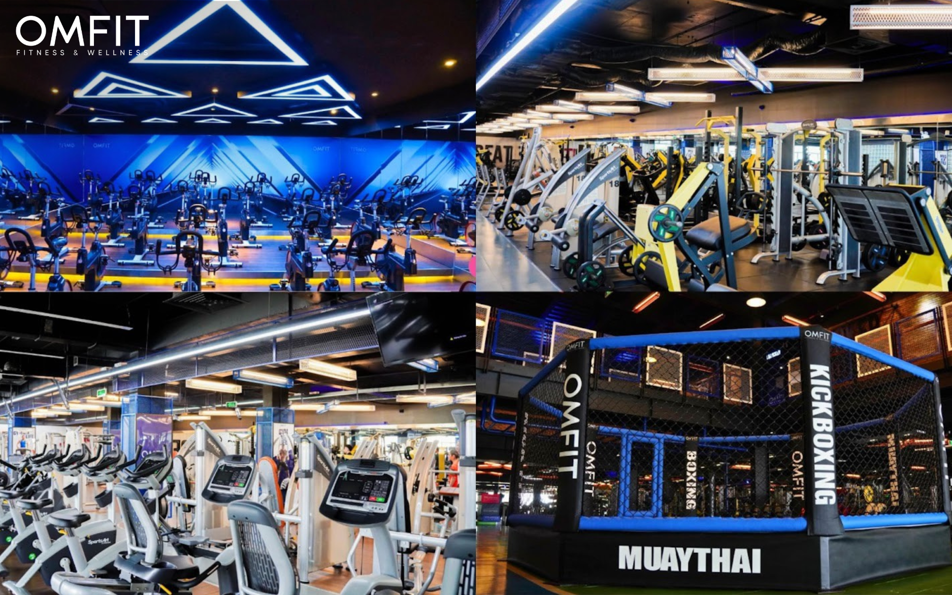 OMFIT khai trương trung tâm Fitness & Wellness cao cấp tại Quận 7 - khơi nguồn lối sống cân bằng toàn diện- Ảnh 1.