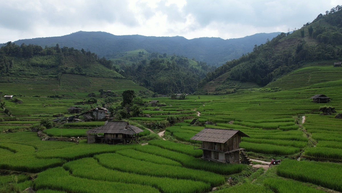 Mát mắt với màu xanh lúa non ruộng bậc thang ở Sa Pa- Ảnh 2.