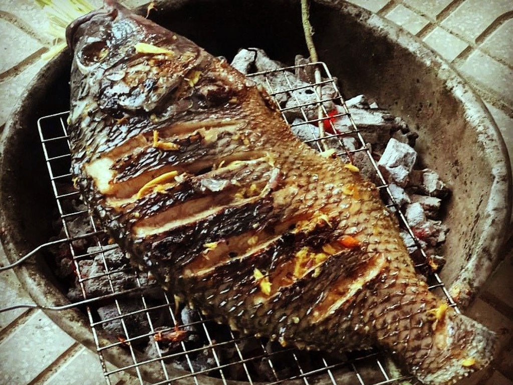 Bật điều hòa để ăn món ngon này, 3 phụ nữ cùng lúc hôn mê, suýt mất mạng trong phòng cấp cứu- Ảnh 1.