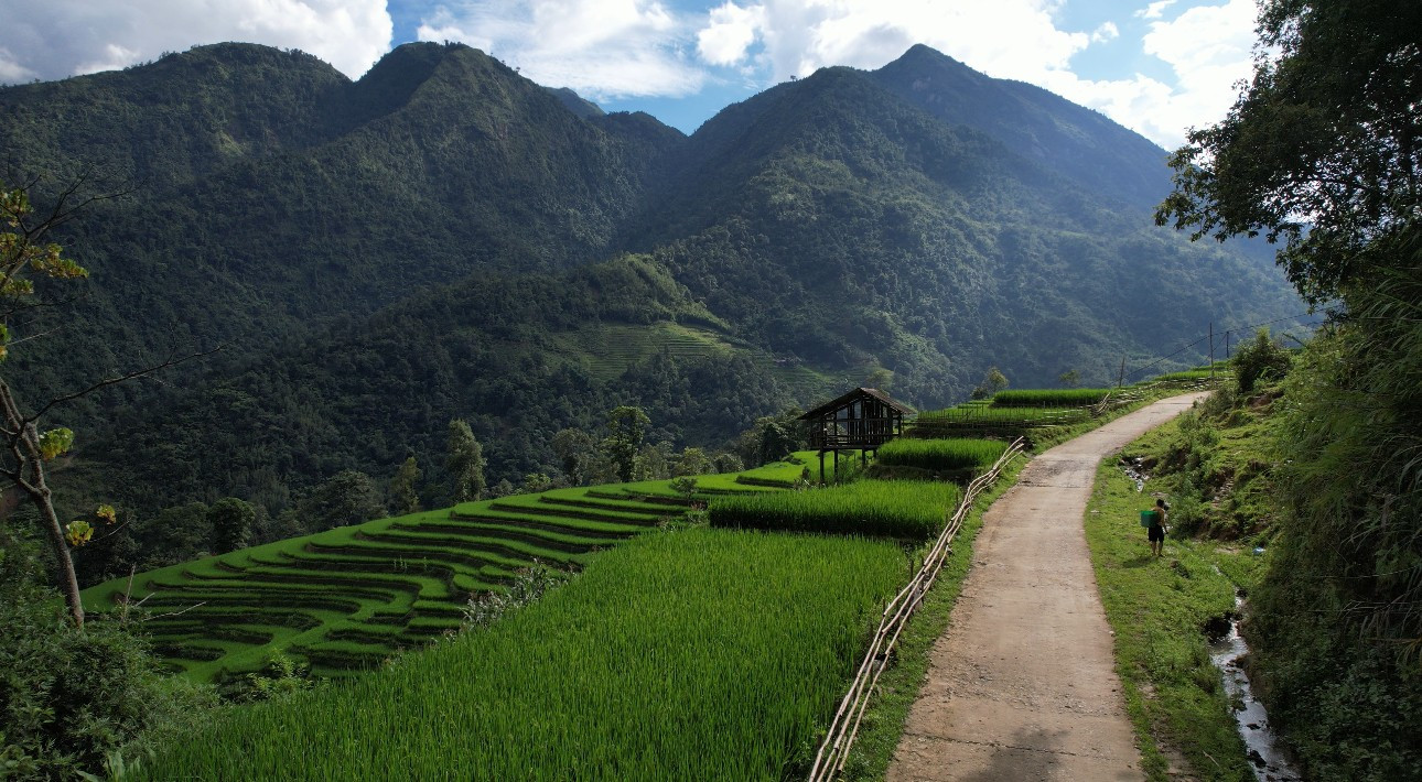 Mát mắt với màu xanh lúa non ruộng bậc thang ở Sa Pa- Ảnh 7.