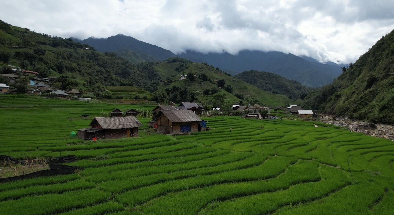 Mát mắt với màu xanh lúa non ruộng bậc thang ở Sa Pa- Ảnh 8.