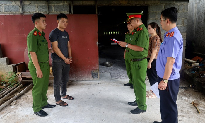 Bắt giam 2 người mua lợn nhiễm dịch tả châu Phi về giết mổ bán kiếm lời- Ảnh 1. Bắt giam 2 người mua lợn nhiễm dịch tả châu Phi về giết mổ bán kiếm lời- Ảnh 1.