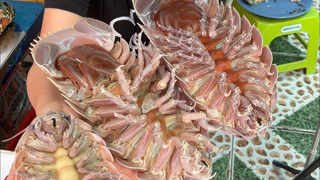 Lần đầu tìm thấy loài vật hiếm chỉ có ở Việt Nam: Kích thước lớn nhất thế giới, nguồn gốc tiến hóa bí ẩn- Ảnh 6.