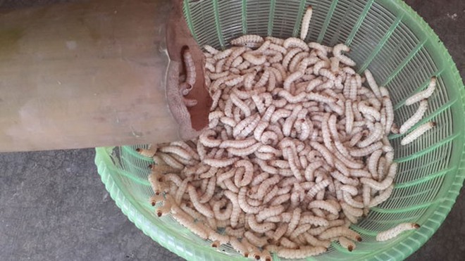 3 món đặc sản 