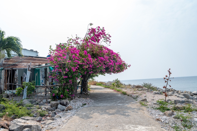 Hòn đảo không khách sạn, không resort, cách đất liền 20km, nhiều người bản địa cũng không biết tới- Ảnh 7.