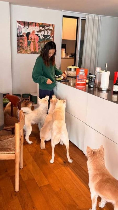 Lee Hyori tiết lộ từng bị chó cắn suýt đứt ngón tay- Ảnh 1.