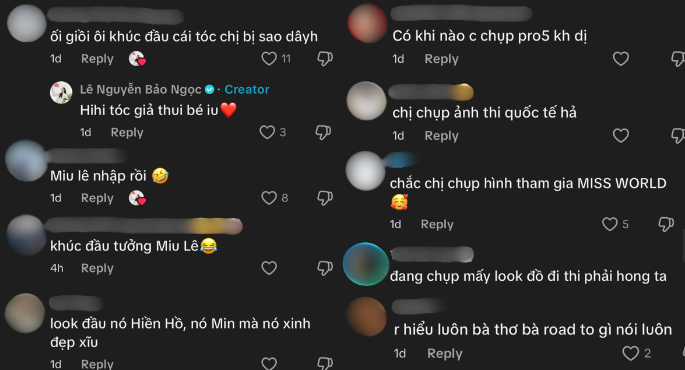 Nữ giám đốc cao 1m86 khoe clip giống hệt Miu Lê, vô tình lộ bí mật quan trọng?- Ảnh 6.