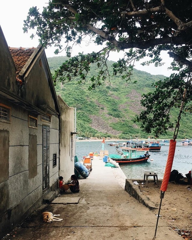 Hòn đảo không khách sạn, không resort, cách đất liền 20km, nhiều người bản địa cũng không biết tới- Ảnh 13.