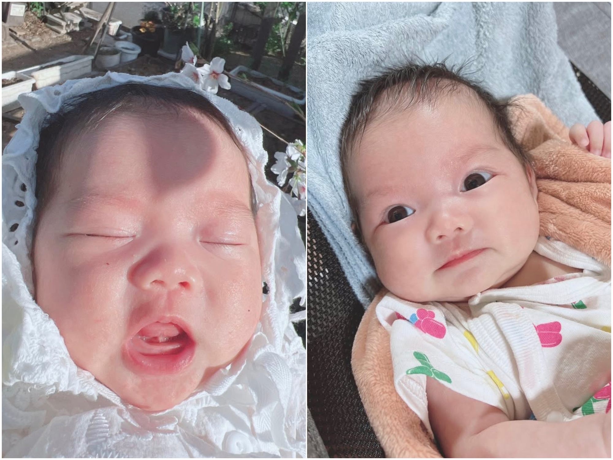 Giật mình với hình ảnh gần đây của bé Sa nhà Quỳnh Trần JP: Cậu cả lớn nhanh quá mà quả đầu nấm thì nhất quyết không đổi!- Ảnh 3.