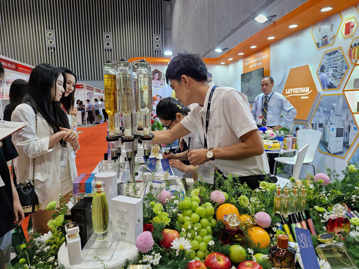 AI khiến doanh nghiệp Việt phải đào tạo lại nhân viên- Ảnh 1.