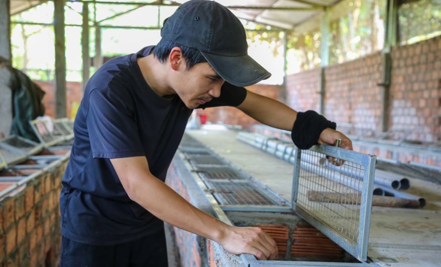 Nuôi con "hiền lành, mắn đẻ", chàng trai 9X thu lãi 500 triệu đồng/năm- Ảnh 3.