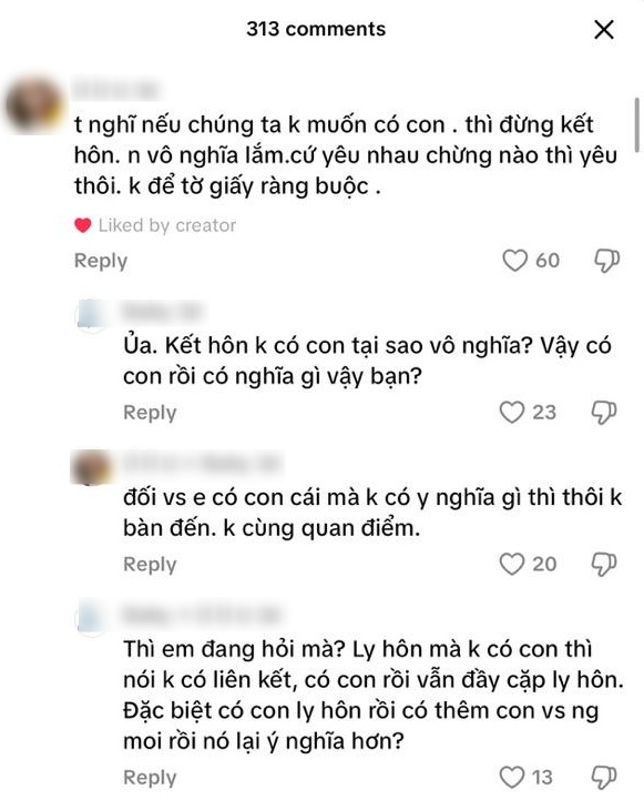 Không muốn có con thì kết hôn làm gì?- Ảnh 1.