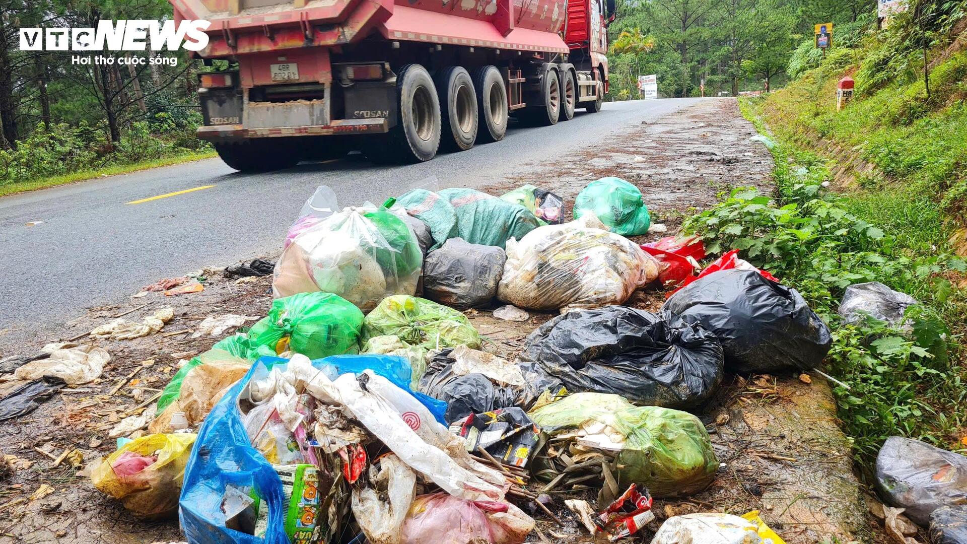Rác thải "tấn công" rừng thông Đà Lạt- Ảnh 8.