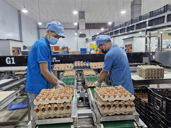AI khiến doanh nghiệp Việt phải đào tạo lại nhân viên- Ảnh 3.