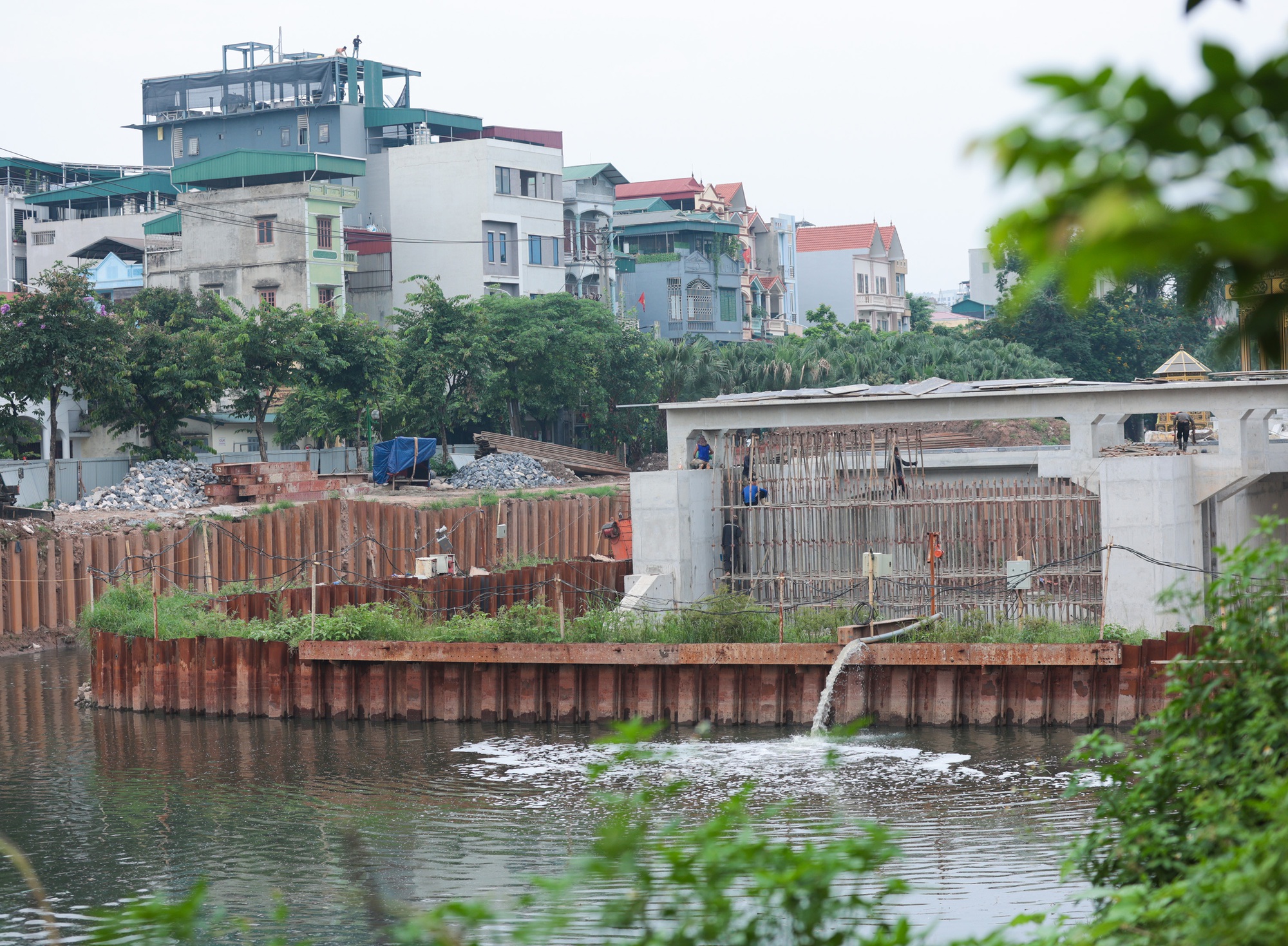 Hà Nội: Cảnh tượng lạ trên sông Tô Lịch khiến ai cũng phải ngoái nhìn- Ảnh 3.