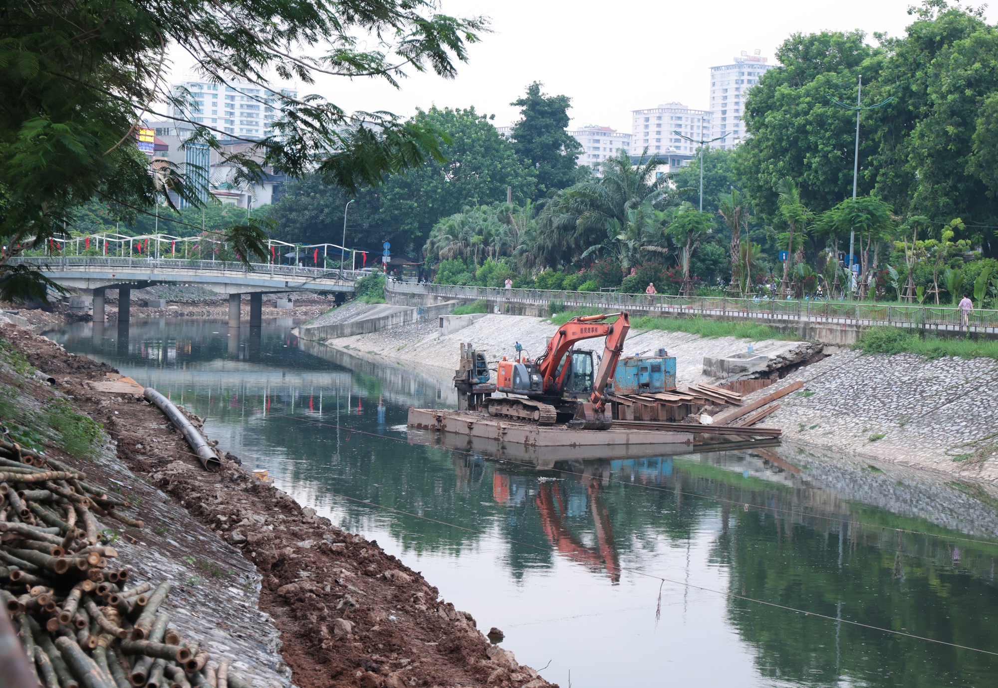 Hà Nội: Cảnh tượng lạ trên sông Tô Lịch khiến ai cũng phải ngoái nhìn- Ảnh 11.