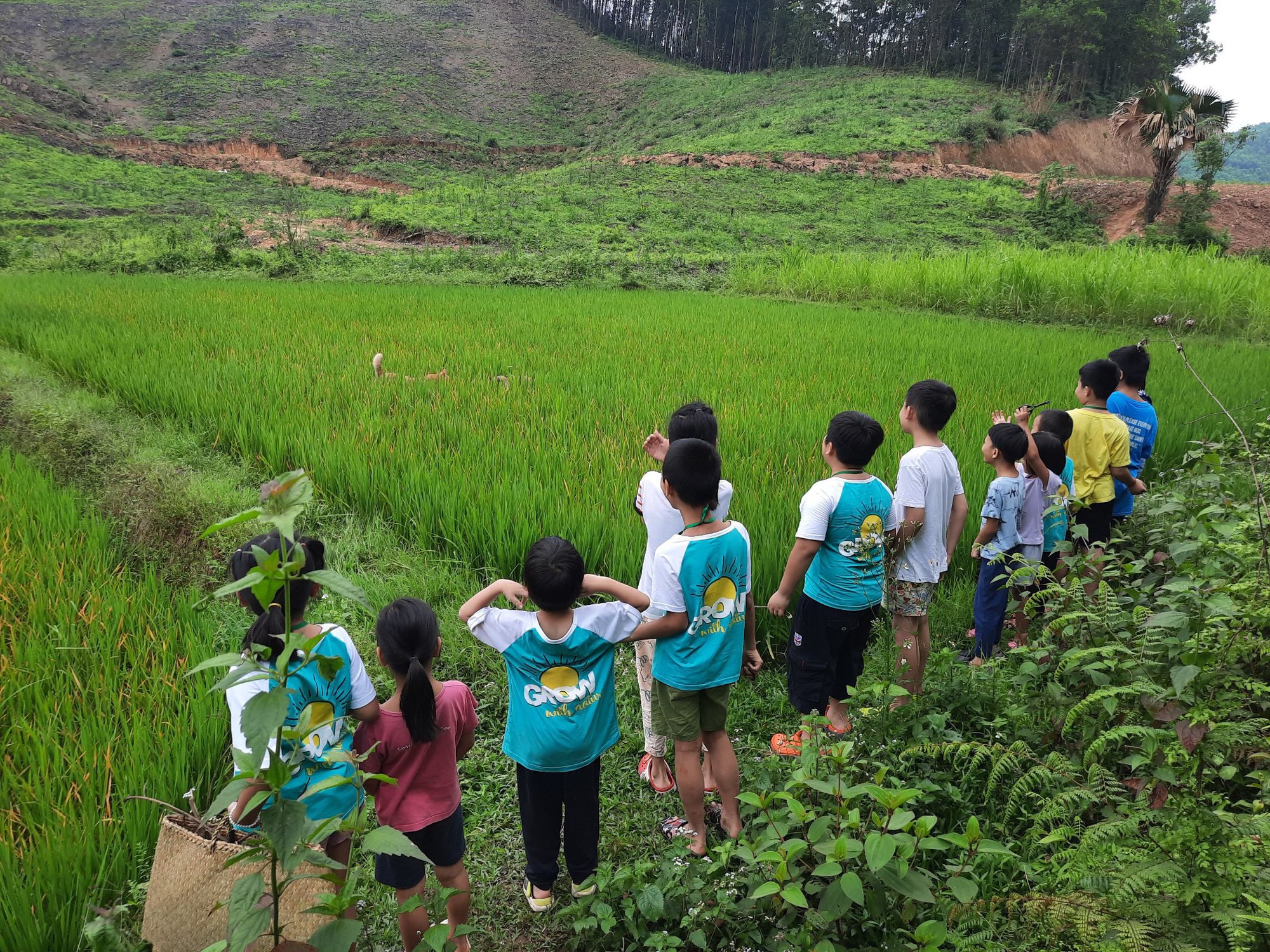 Toàn bộ mô hình hoạt động và mức phí của Làng Háo Hức - trại hè do MC Minh Trang làm founder- Ảnh 7.