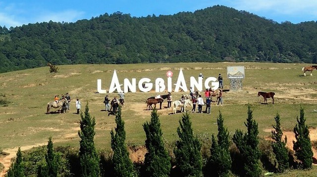 Tỉnh lớn nhất Việt Nam sau sáp nhập: Vừa có rừng, vừa có biên giới, vừa có đường ven biển như nước ngoài- Ảnh 12.