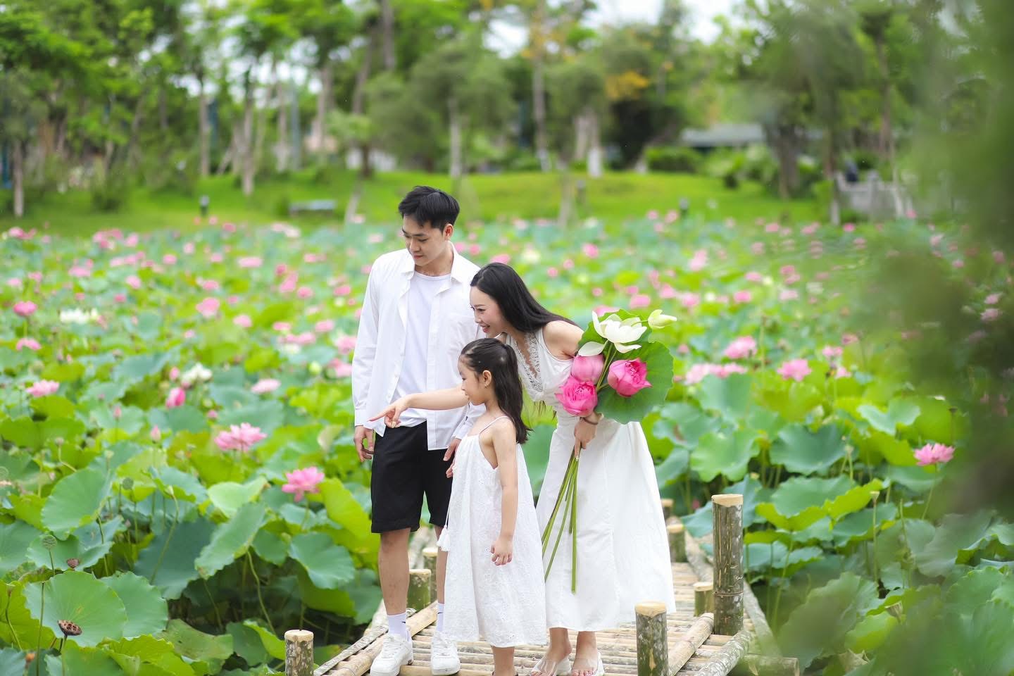 Không còn là tin đồn: từ 4/7, Hạ Long tổ chức “đại tiệc pháo hoa” mỗi cuối tuần- Ảnh 4.