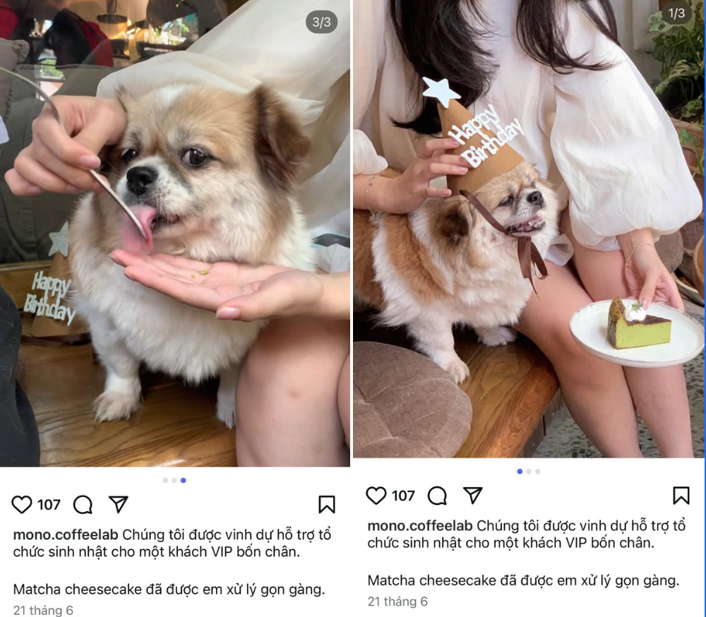 Xôn xao quán cà phê nổi tiếng ở Hà Nội bị tố cho thú cưng dùng chung dụng cụ với khách, phía quán nói gì?- Ảnh 2.