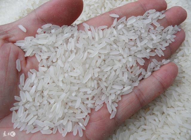 4 vật dụng nhà bếp chứa "cả kho" chất gây ung thư aflatoxin- Ảnh 1.