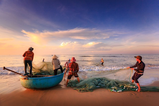 Không phải cơm gà, mì Quảng, du khách ấn tượng với 2 món này ở Hội An, có người bất ngờ vì chưa nghe tên- Ảnh 2.