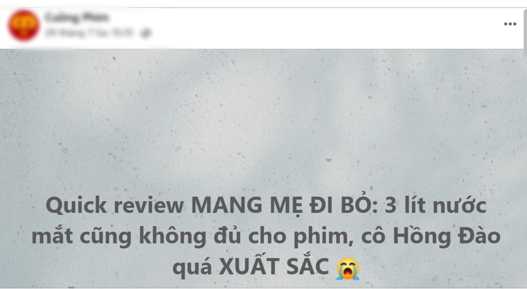 MXH tranh cãi không dứt vì phim Việt top 1 phòng vé: Người khóc đến “váng đầu”, người xem xong uất ức cả đêm- Ảnh 2.