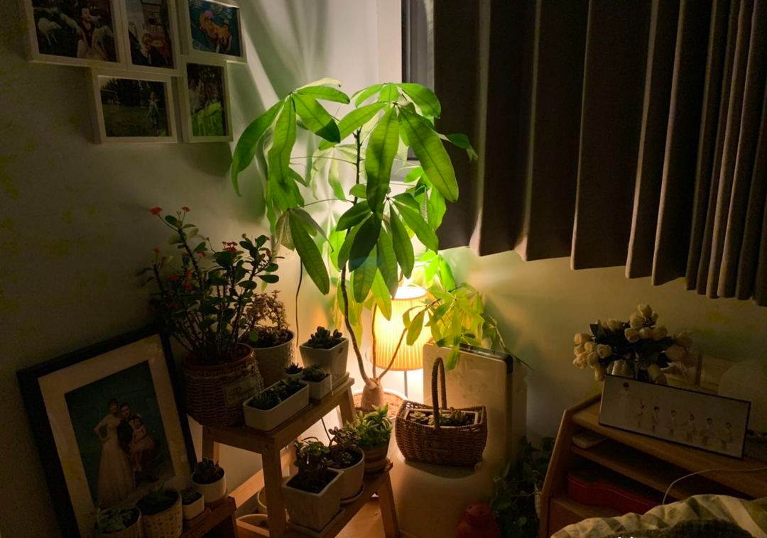 Căn hộ 39m² cho 4 người: Không chật, không góc nào bị lãng phí, minh chứng cho triết lý 