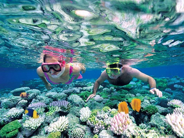 Hòn đảo hoang sơ địa hình đặc biệt, là nơi sống của cua khổng lồ, du khách nhận xét: Hiếm đâu có được!- Ảnh 7.