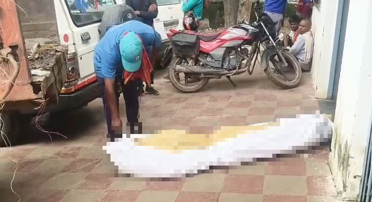 Phát hiện "bí mật" đáng sợ trên chiếc xe chở rác- Ảnh 1.