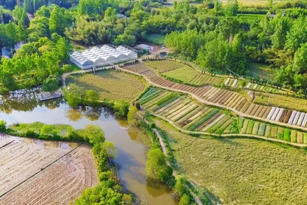 Giám đốc công nghệ “bỏ phố về quê”, mua hơn 133.000m2 đất để nghỉ hưu: Mất 3 năm mới hoàn thành nông trại trong mơ- Ảnh 2.