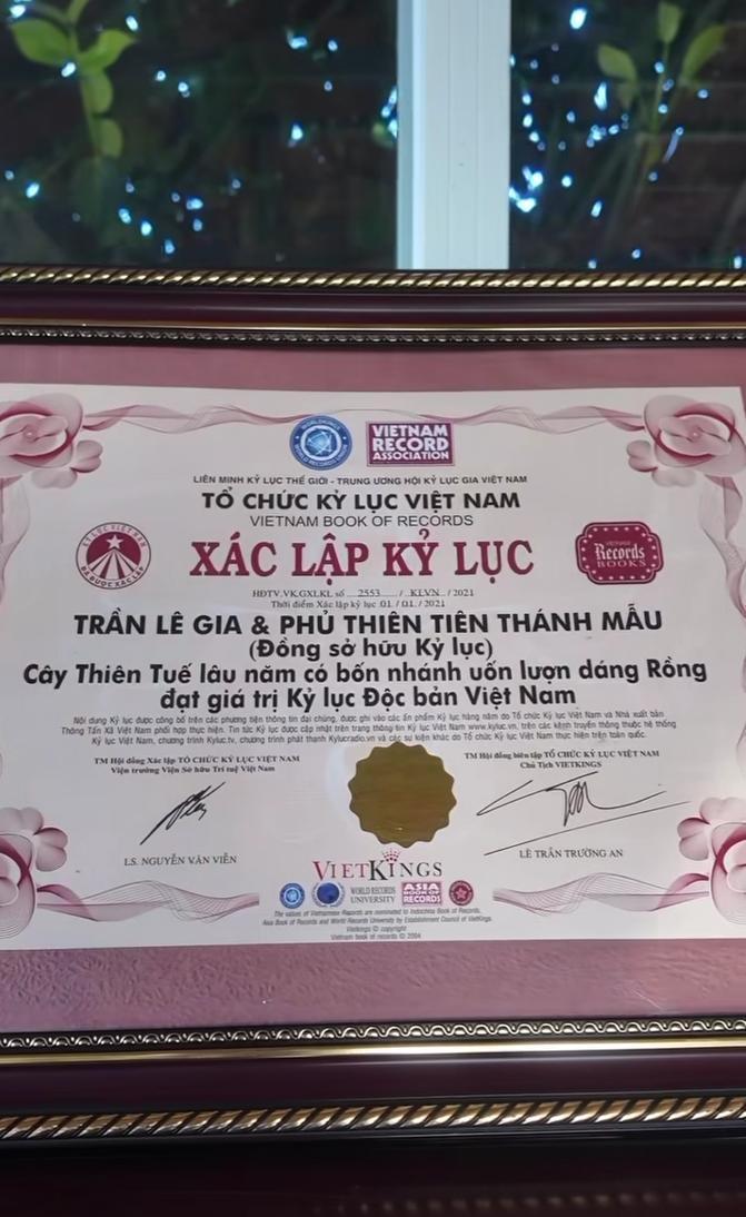 Loài cây độc nhất Việt Nam, siêu giá trị trong biệt phủ trăm tỷ, rộng 10.000 mét vuông của Lý Nhã Kỳ- Ảnh 5.