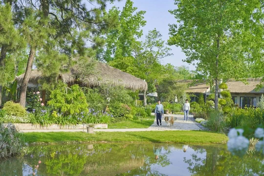 Giám đốc công nghệ “bỏ phố về quê”, mua hơn 133.000m2 đất để nghỉ hưu: Mất 3 năm mới hoàn thành nông trại trong mơ- Ảnh 4.
